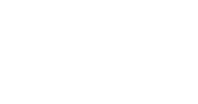 ddm-consulting-deutschland (1)