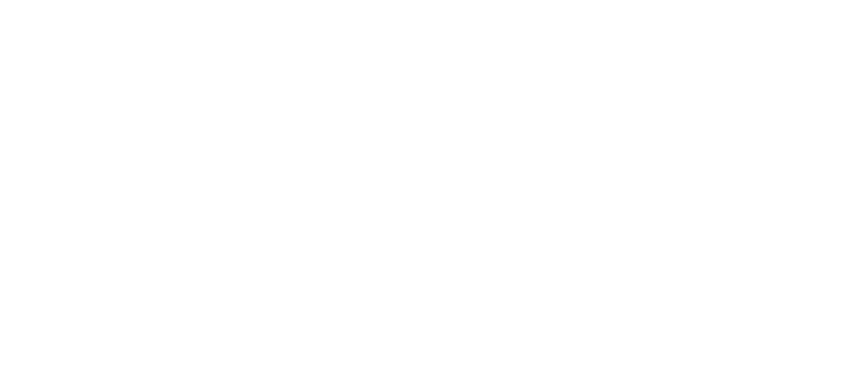 Ria Lingerie transp